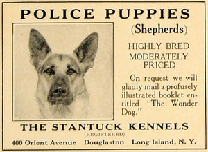 1923 Ad Stantuck Kennels Douglaston Police Dog Shepherd - ORIGINAL CL4