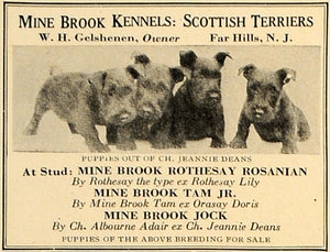 1923 Ad Mine Brook Kennels Scottish Terriers Gelshenen - ORIGINAL CL4
