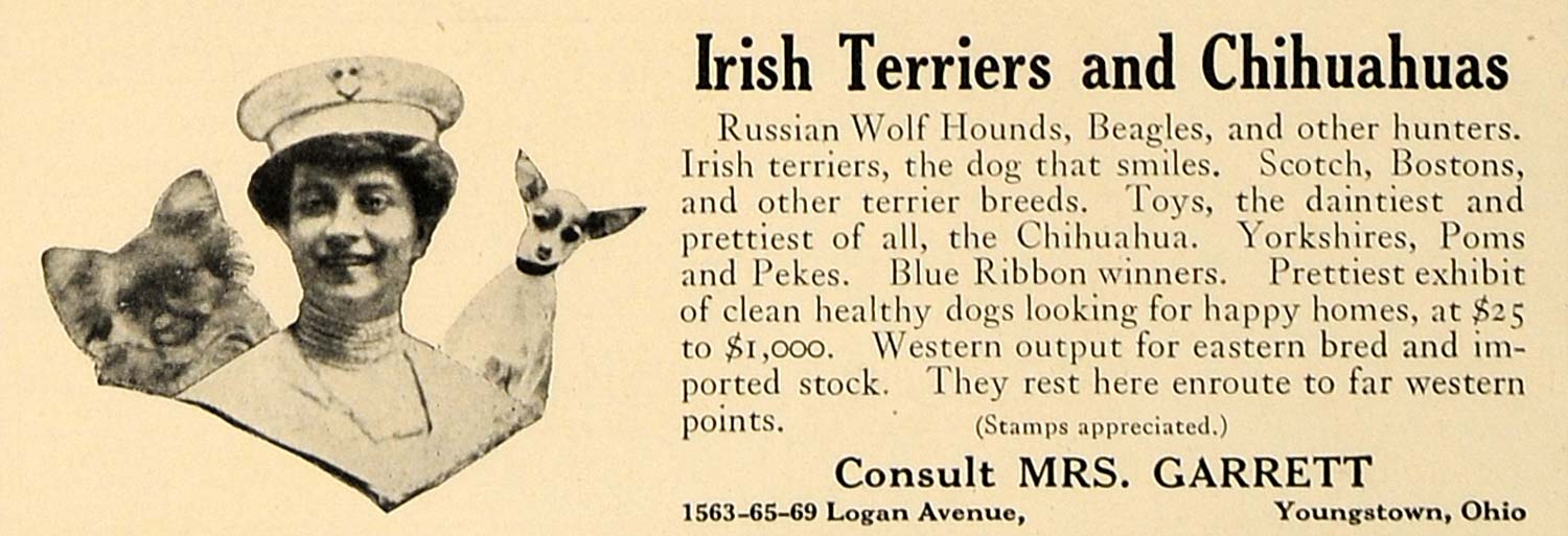 1923 Ad Irish Terriers Chihuahuas Garrett Youngstown - ORIGINAL ADVERTISING CL4