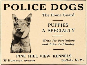 1919 Ad Police Dogs Pine Hill View Kennels Humason Ave - ORIGINAL CL4