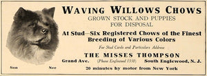 1919 Ad Waving Willows Chows Puppies The Misses Thomson - ORIGINAL CL4