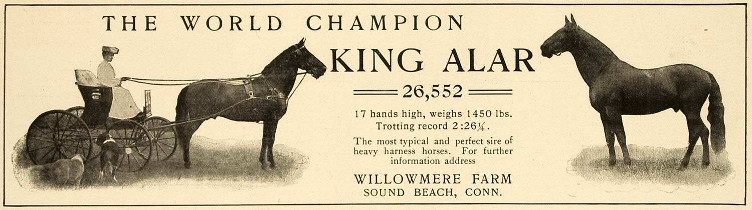 1906 Ad Willowmere Farm King Alar World Champion Horse - ORIGINAL CL4