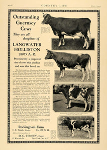 1924 Ad Rockingham Farm C. E. Tisdale Guernsey Cows - ORIGINAL ADVERTISING CL4