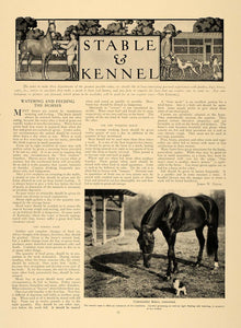 1906 Article Horse Dog St Bernard Hunting Harold Pitkin - ORIGINAL CL5