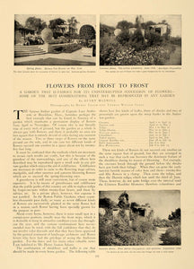 1906 Article Garden Flower Combinations Succession - ORIGINAL CL5