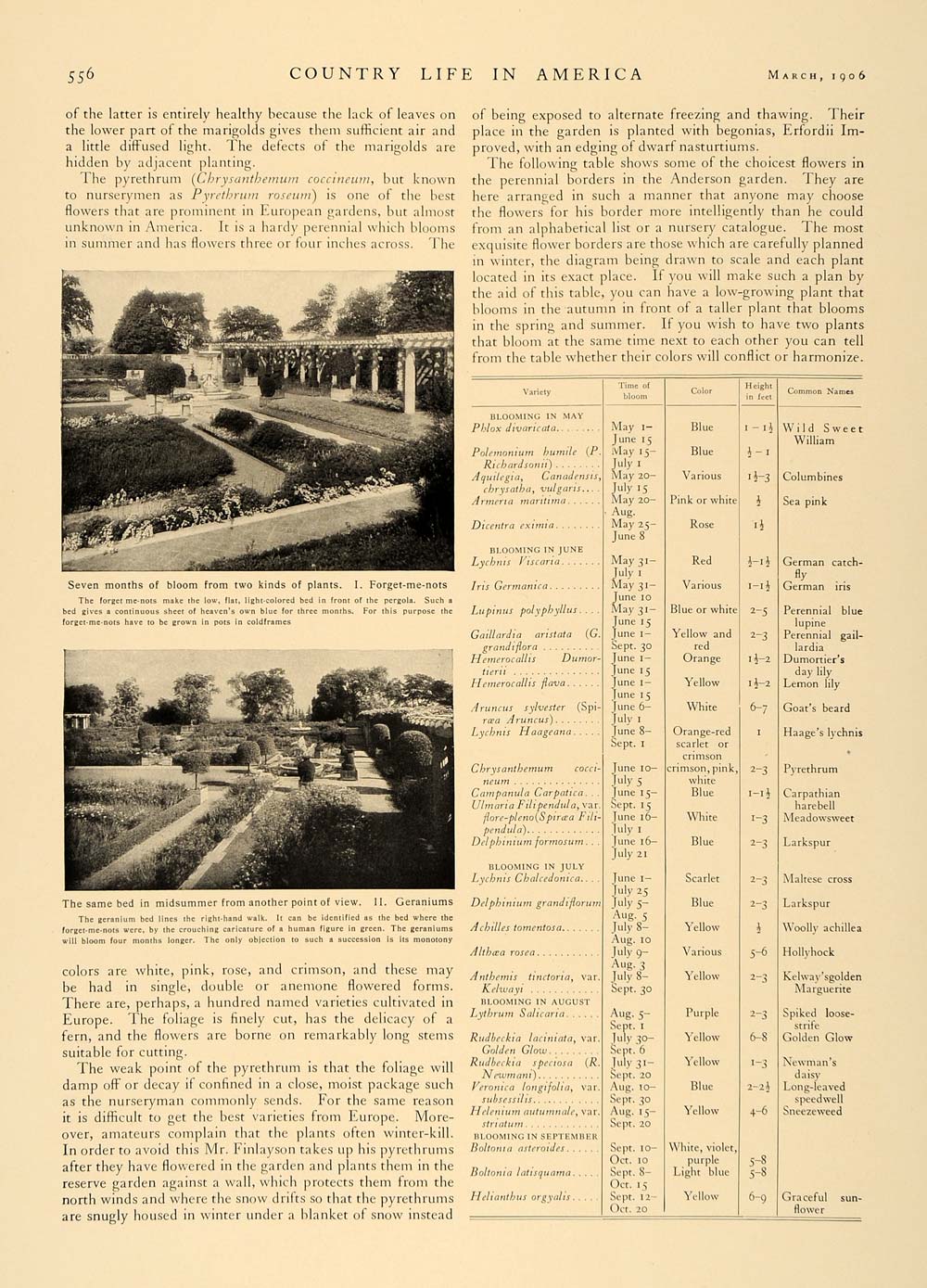 1906 Article Garden Flower Combinations Succession - ORIGINAL CL5