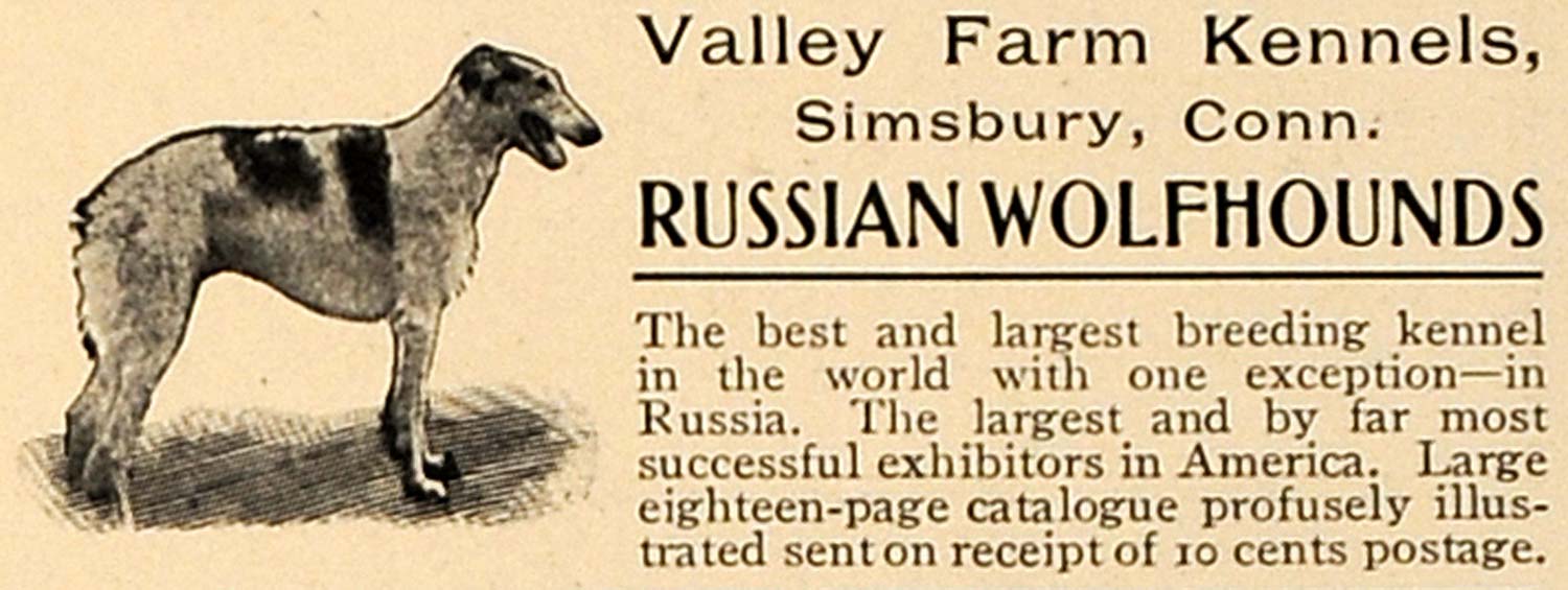 1905 Ad Valley Farm Kennels Simsbury Russian Wolfhounds - ORIGINAL CL7