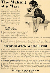1905 Ad Triscuit Cracker Nabsico Natural Food Company - ORIGINAL ADVERTISING CL7