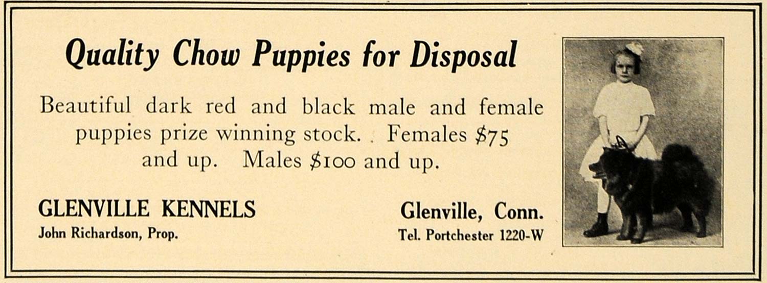 1924 Ad Chow Dogs Glenville Kennels John Richardson - ORIGINAL ADVERTISING CL7