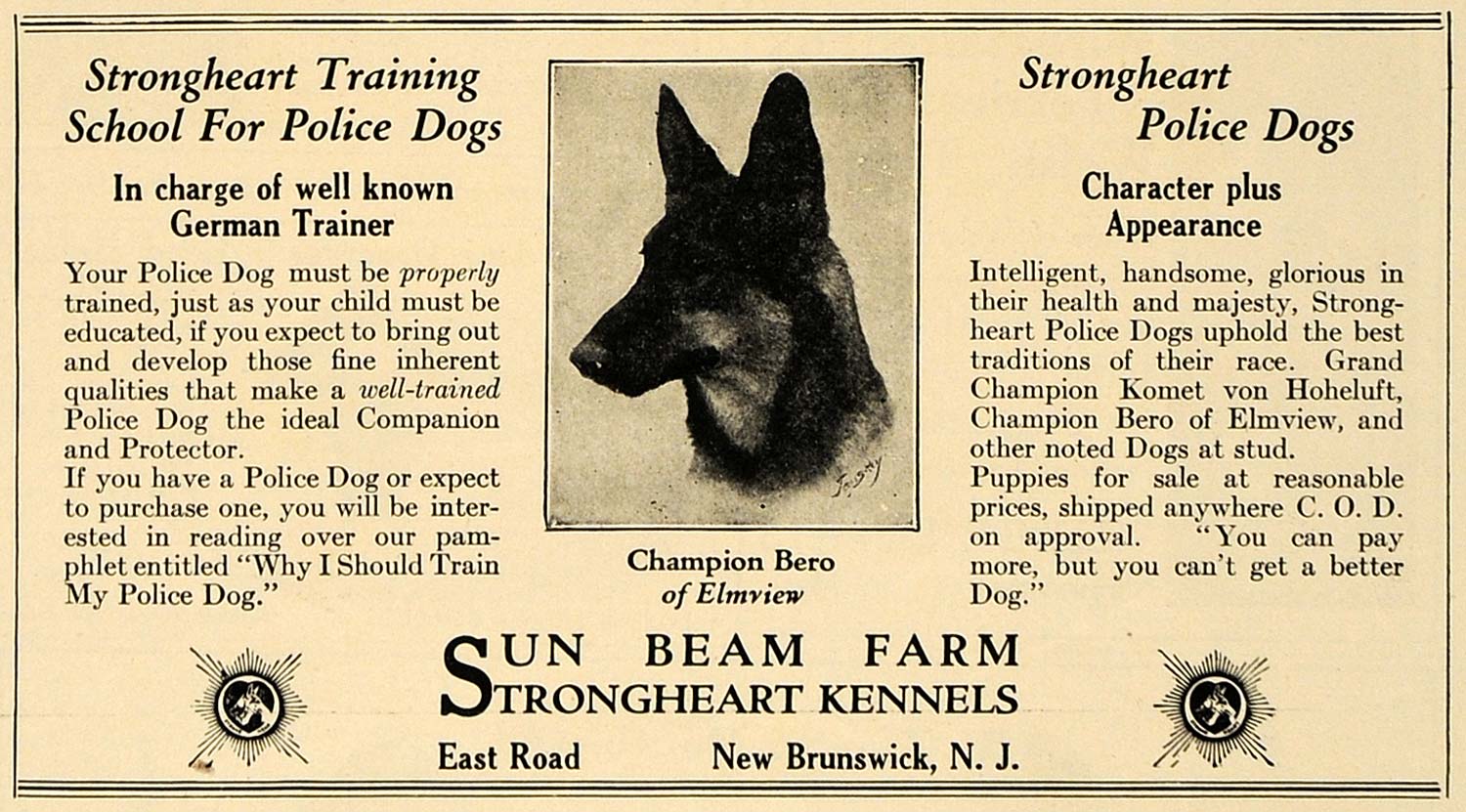 1924 Ad Police Dogs Sun Beam Farm Strongheart Kennels - ORIGINAL ADVERTISING CL7