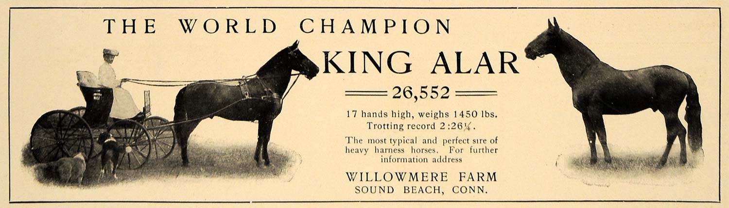 1906 Ad Cheval World Champion Horse Willowmere Farm Sound Beach King Alar CL8