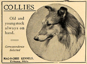 1906 Ad Mac-O-Chee Kennels Collies Urbana Ohio Dogs - ORIGINAL ADVERTISING CL8