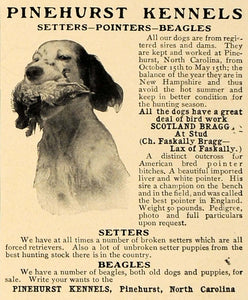 1906 Ad Pinehurst Kennels Setters Pointers Beagles Dogs - ORIGINAL CL8