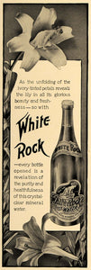 1906 Ad White Rock Water Waukesha Potawatomi Indians - ORIGINAL ADVERTISING CL8