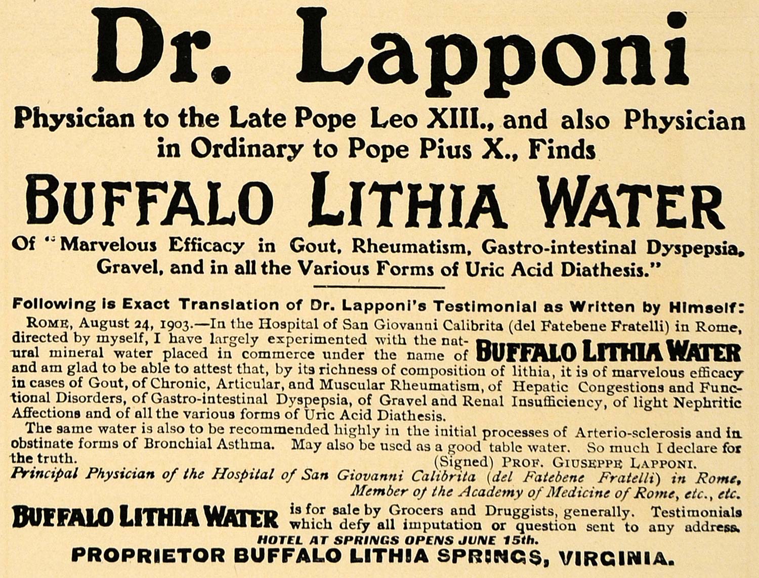 1907 Ad Buffalo Lithia Water Dr. Lapponi Pope Leo XIII - ORIGINAL CL8