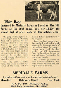 1928 Ad Meridale Farms White Hope Cow McKinney Ayer - ORIGINAL ADVERTISING CL8