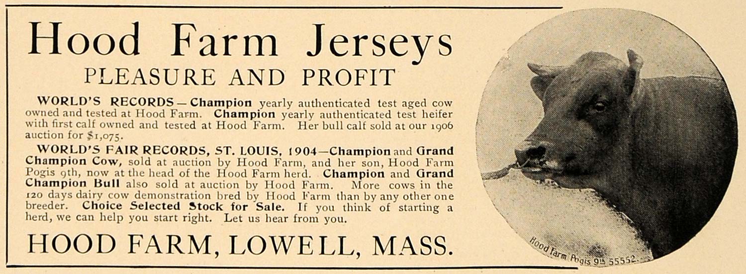 1906 Ad Hood Farm Jerseys Lowell Worlds Fair Record Cow - ORIGINAL CL9