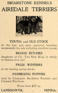 1907 Ad Airedale Terriers Briarstone Kennels Lansdowne - ORIGINAL CL9