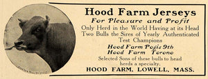 1907 Ad Hood Farm Lowell Massachusetts Jersey Cows Bull - ORIGINAL CL9