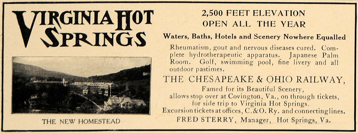 1907 Ad Virginia Hot Springs Homestead Diseases Cured - ORIGINAL ADVERTISING CL9