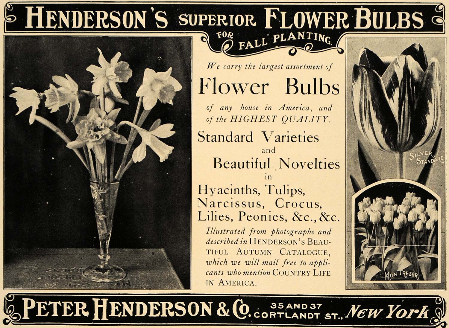 1907 Ad Peter Henderson's Flower Bulbs Tulips Daffodils - ORIGINAL CL9