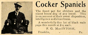 1907 Ad F.G. Macintosh Cocker Spaniels Breeding Pricing - ORIGINAL CL9