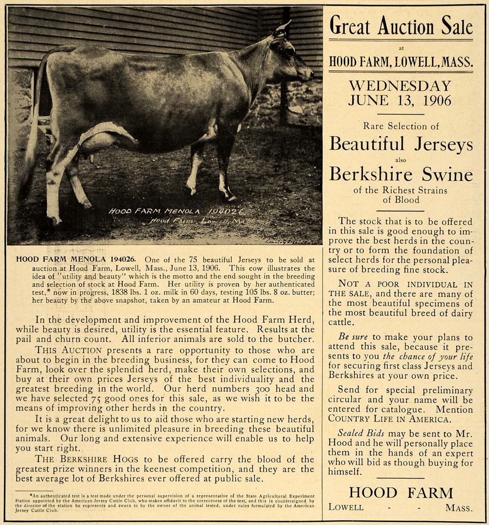 1906 Ad Hood Farm Menola 194026 Jersey Breed Cows Pigs - ORIGINAL CL9