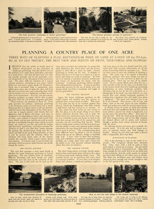 1905 Article Country House Acre Land Garden Evergreens - ORIGINAL CL9