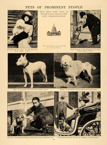 1913 Print Pets PHelen Taft Chang Stimson Airedale Dog ORIGINAL HISTORIC CL9