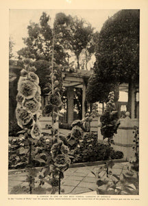 1905 Print Garden of Weld Pergola Hollyhocks Bay Trees ORIGINAL HISTORIC CL9