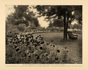 1905 Print Garden Landscape Oriental Poppies Flowers - ORIGINAL HISTORIC CL9