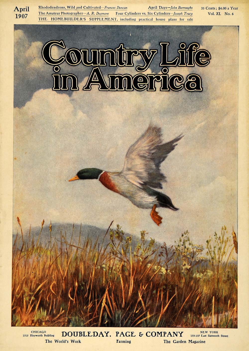 1907 Cover Country Life America Mallard Fly Over Plains - ORIGINAL CL9