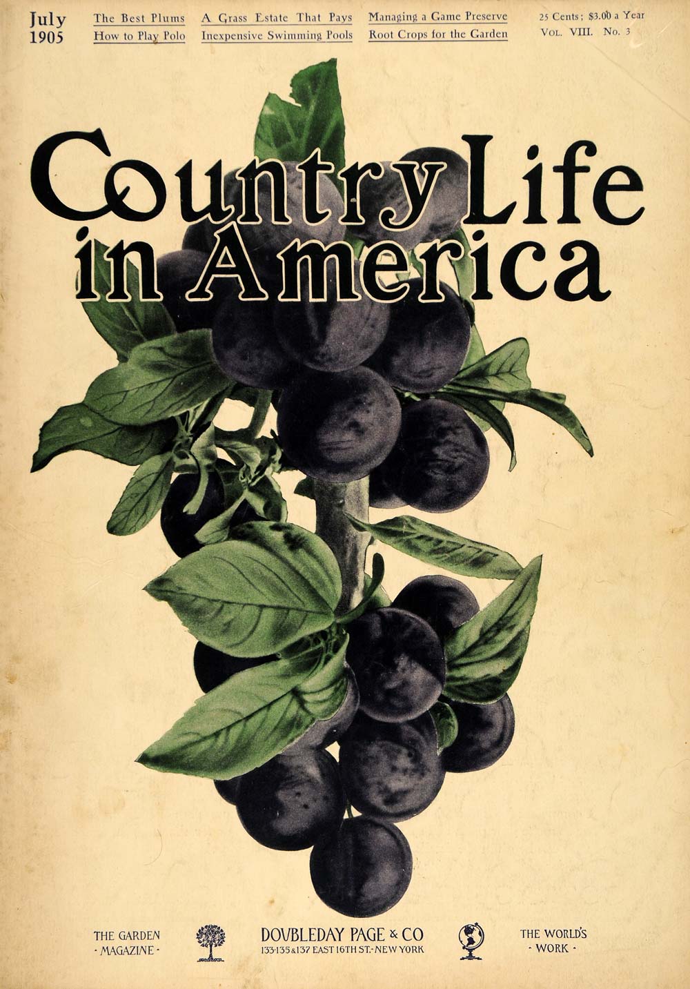1905 Cover Country Life America Wild Blueberry Sprig - ORIGINAL CL9