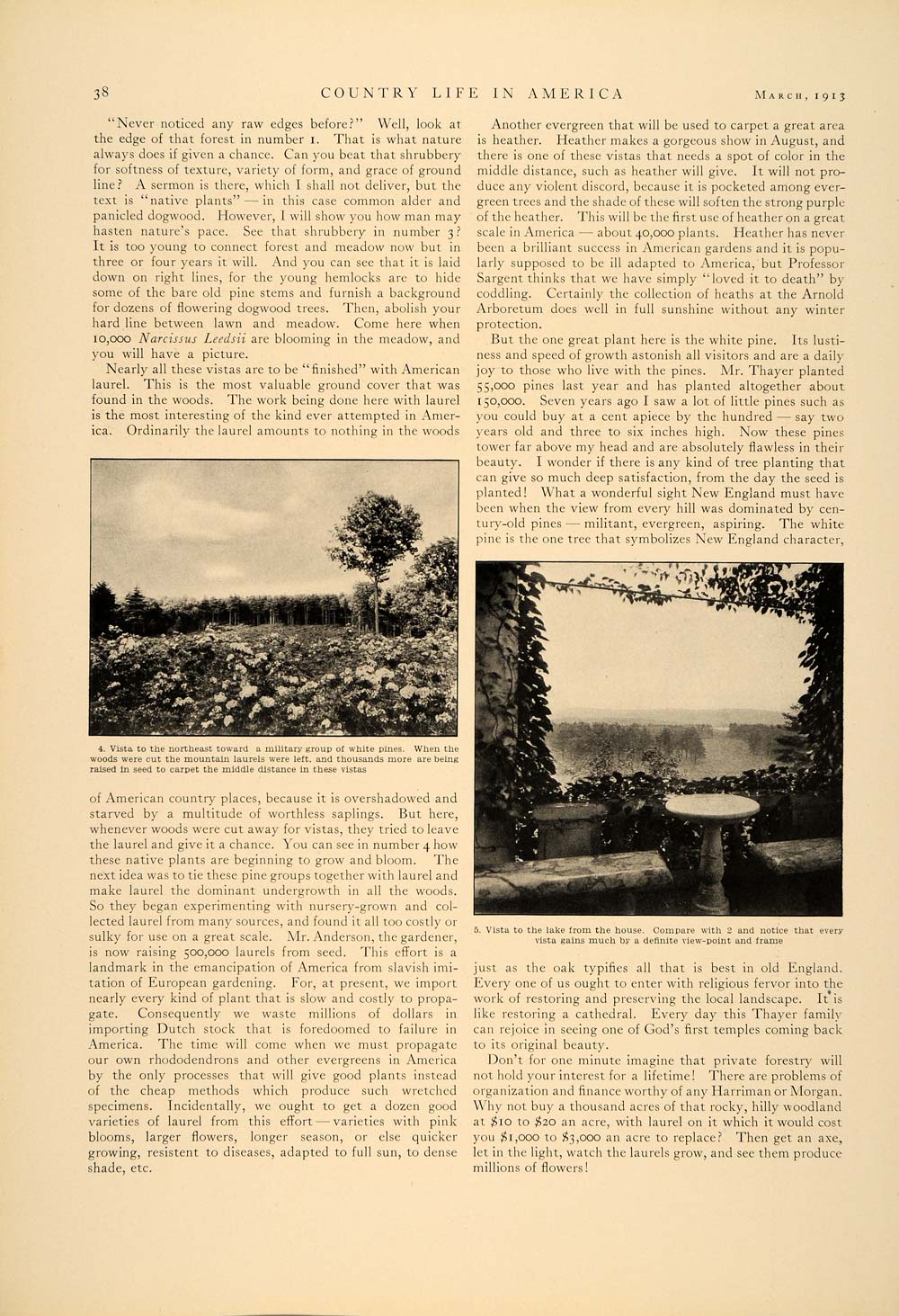 1913 Article Wilhelm Miller Eldredge Vista Landscape Pine Ridge Meadow CLA1