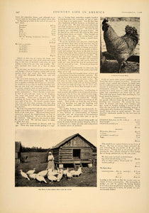 1906 Article Poultry Farm Business Charles Briesmaster Chick Coop Turkey CLA1