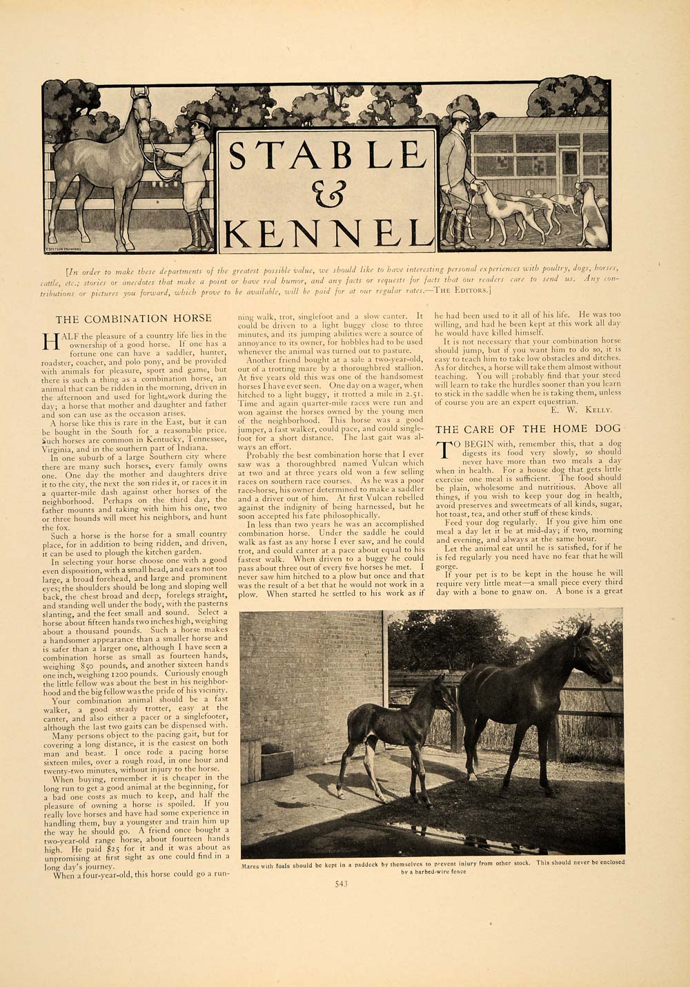 1906 Article Stable Kennel Horse English Setter Dog Tamblin Pitkin Country CLA1