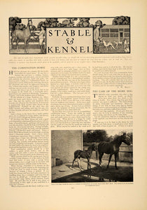 1906 Article Stable Kennel Horse English Setter Dog Tamblin Pitkin Country CLA1