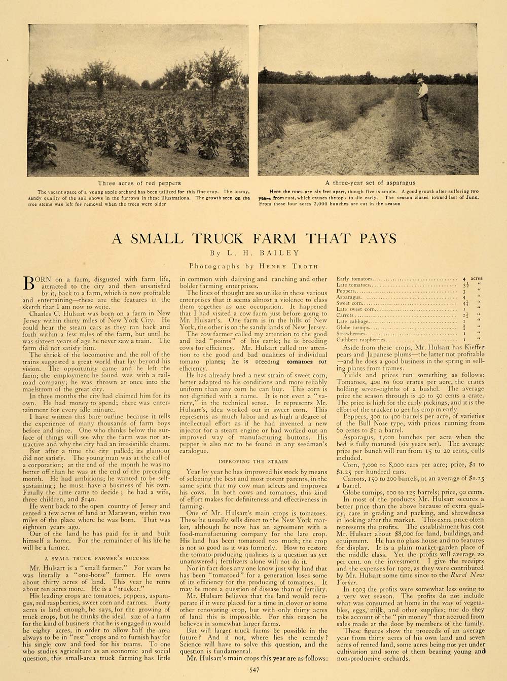 1907 Article Matawan New Jersey Farm Charles C. Hulsart Crops Agricultural CLA1