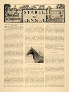 1909 Article Stable Kennel Equestrian Overhead Check Horses Bulldog Dog CLA1