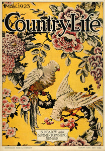 1923 Cover Country Life Cockatoo Birds Pets Botanical Floral Summer Flowers COL2
