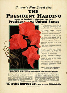 1924 Ad W. Atlee Burpee Flowers Floral Botanical Planting Gardening Seeds COL2