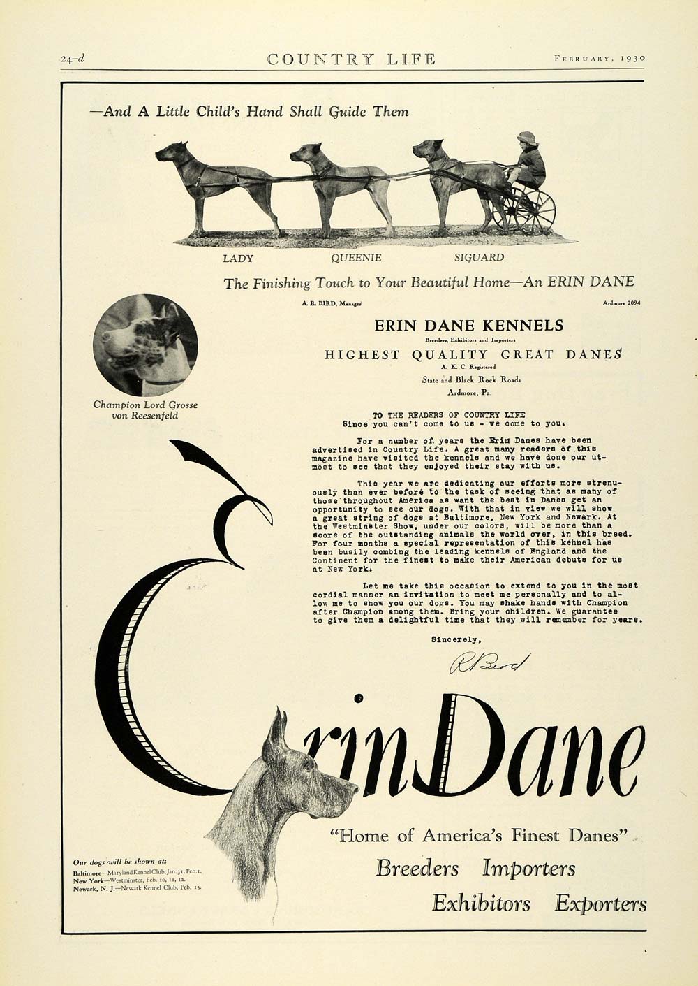 1930 Ad Erin Great Dane Kennels Breeders Champion Dog Lord Grosse von COL2