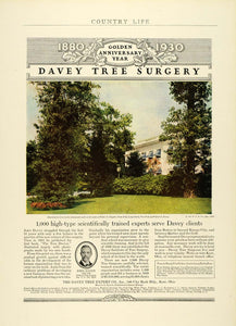 1930 Ad Davey Tree Expert Removal 50th Anniversary Walter P. Chrysler COL2