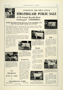 1929 Ad Strathglass Public Sale Bred Ayrshires Cattle Farm Port Chester New COL2