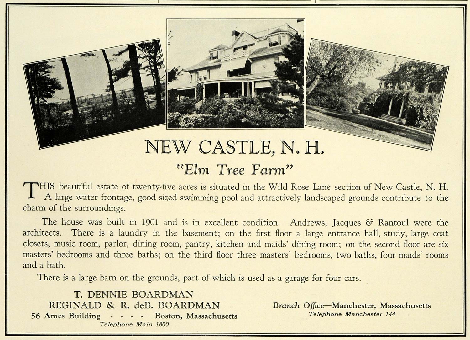 1925 Ad T Dennie Boardman Reginald Boston New Castle New Hampshire Elm Tree COL2