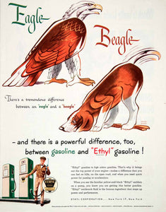 1950 Ad Gasoline Ethyl New York Eagle Beagle Difference Petroleum Oil COLL1