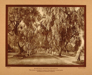 1911 Print California Marengo Avenue Pasadena Parker - ORIGINAL CTB1