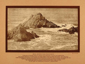 1911 Print California Seal Rocks San Francisco W Worden - ORIGINAL CTB1