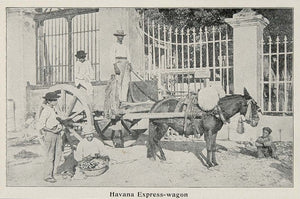 1899 Halftone Print Horse Wagon Havana Cuba Men Cubans ORIGINAL HISTORIC CUB1