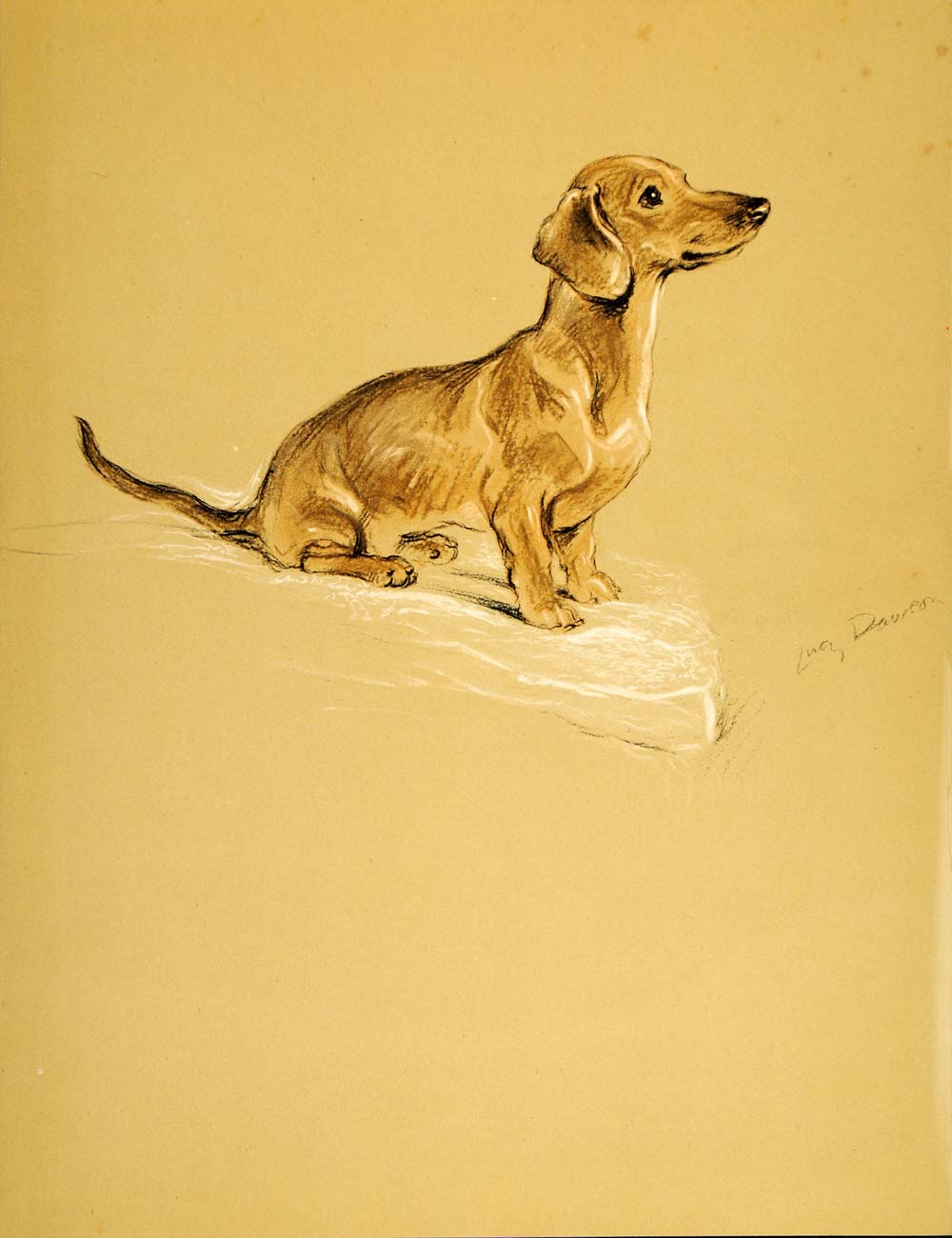 1937 Lucy Dawson Art Dachshund Wiener Sausage Dog Scent Hound Canine Print